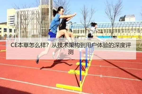 CE本草怎么样？从技术架构到用户体验的深度评测