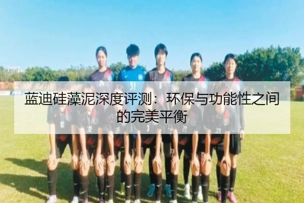 蓝迪硅藻泥深度评测：环保与功能性之间的完美平衡