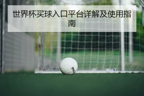 世界杯买球入口平台详解及使用指南