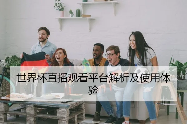 世界杯直播观看平台解析及使用体验