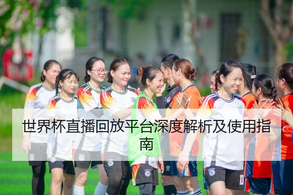 世界杯直播回放平台深度解析及使用指南