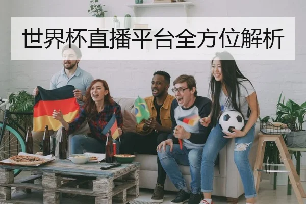 世界杯直播平台全方位解析