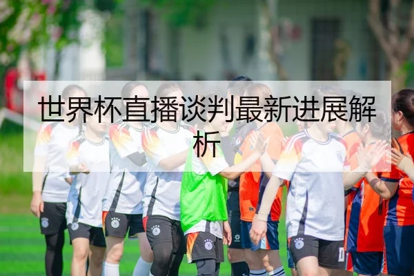 世界杯直播谈判最新进展解析